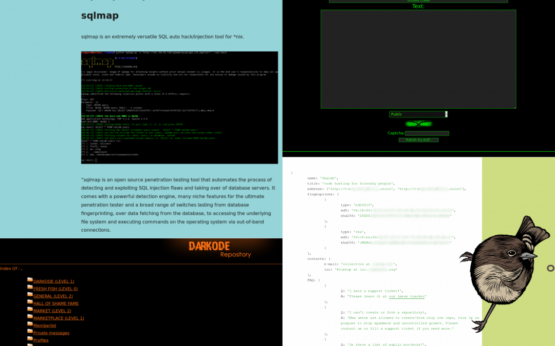 The Different Types of Sites on the Dark Web. 2/3