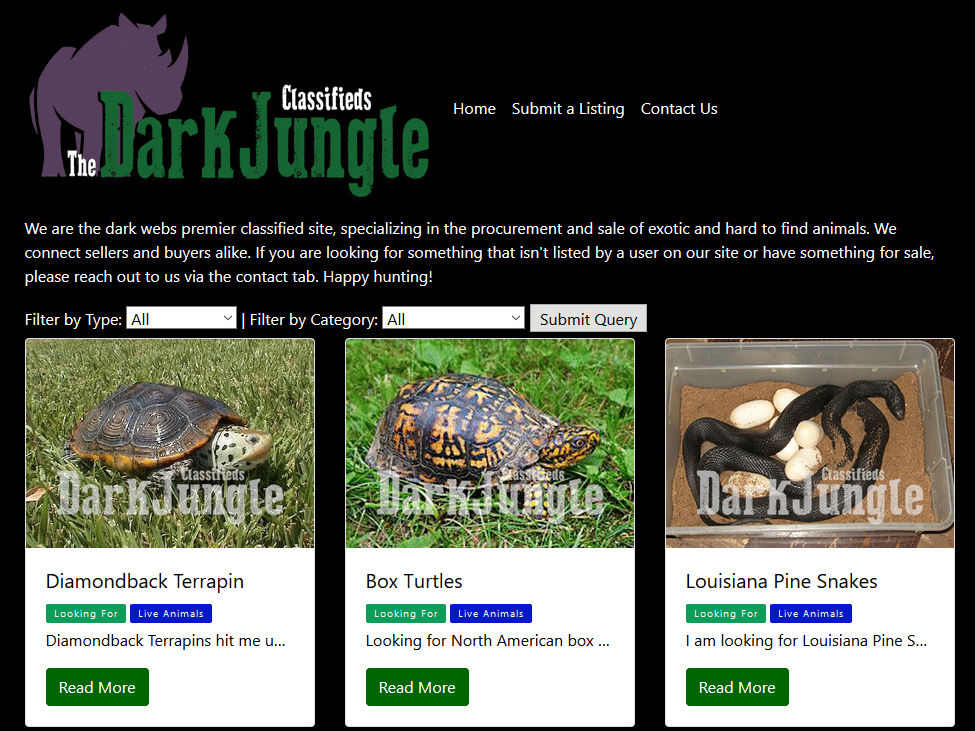 La plateforme de rencontre "The Dark Jungle"